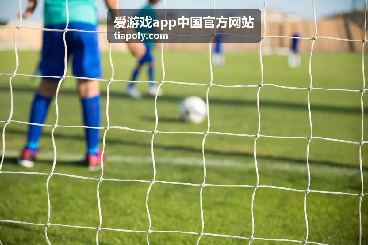 爱游戏app中国官方网站邀请同行奖励封面
